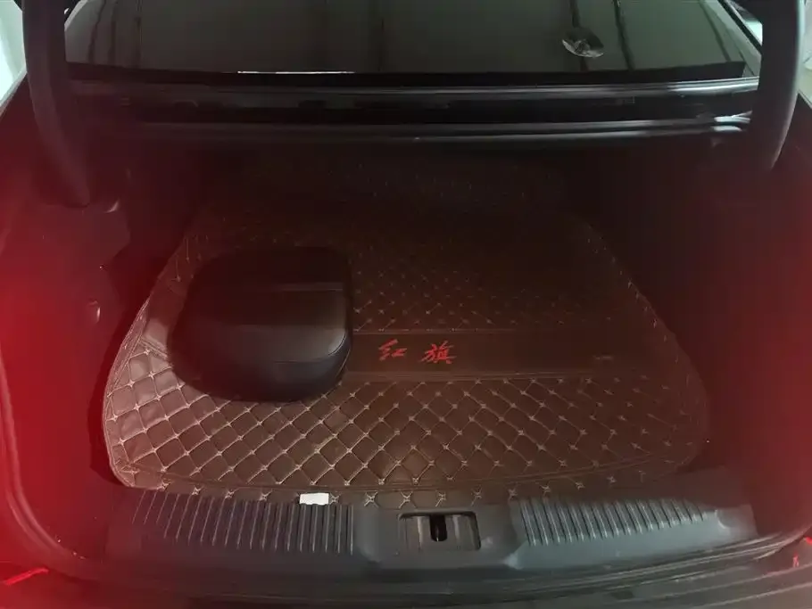 Hongqi H9 2021 из CN, фото 8