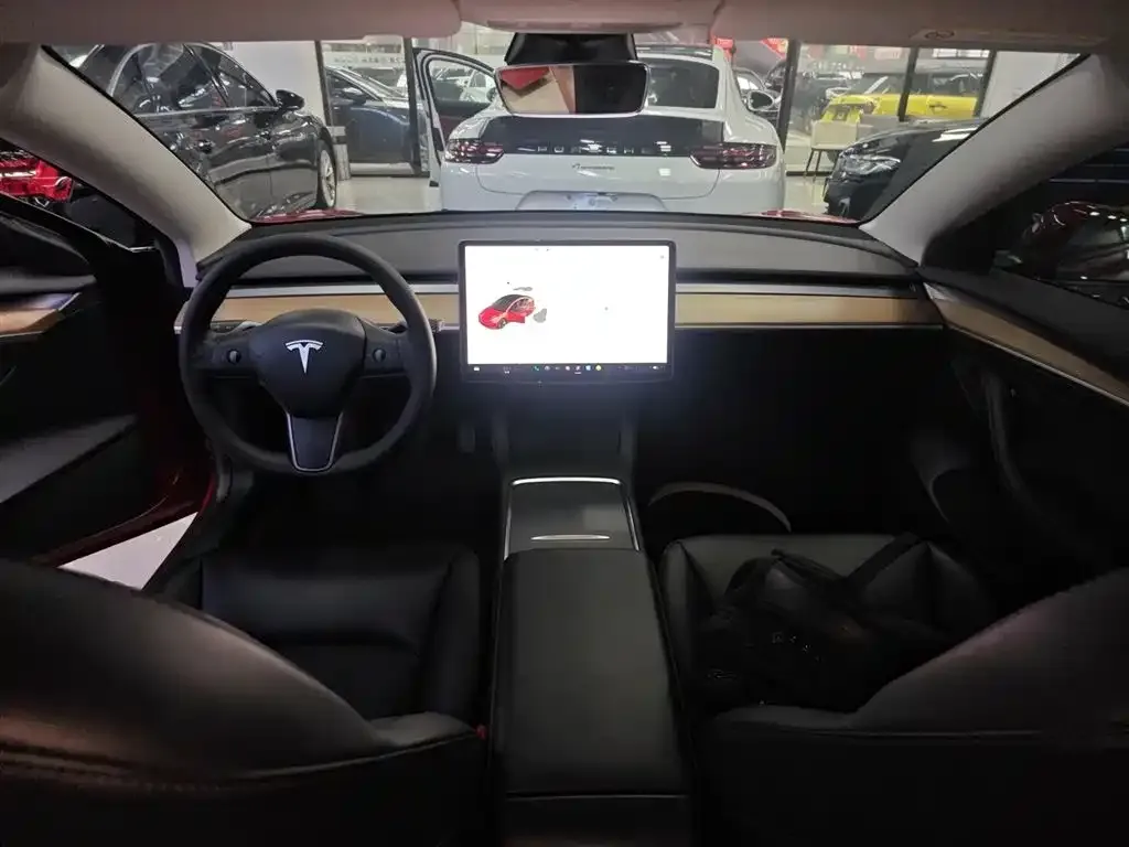 Tesla Model 3 2021 из CN, фото 3