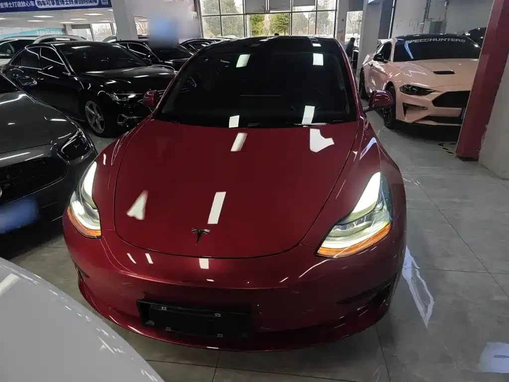 Tesla Model 3 2021 из CN, фото 6