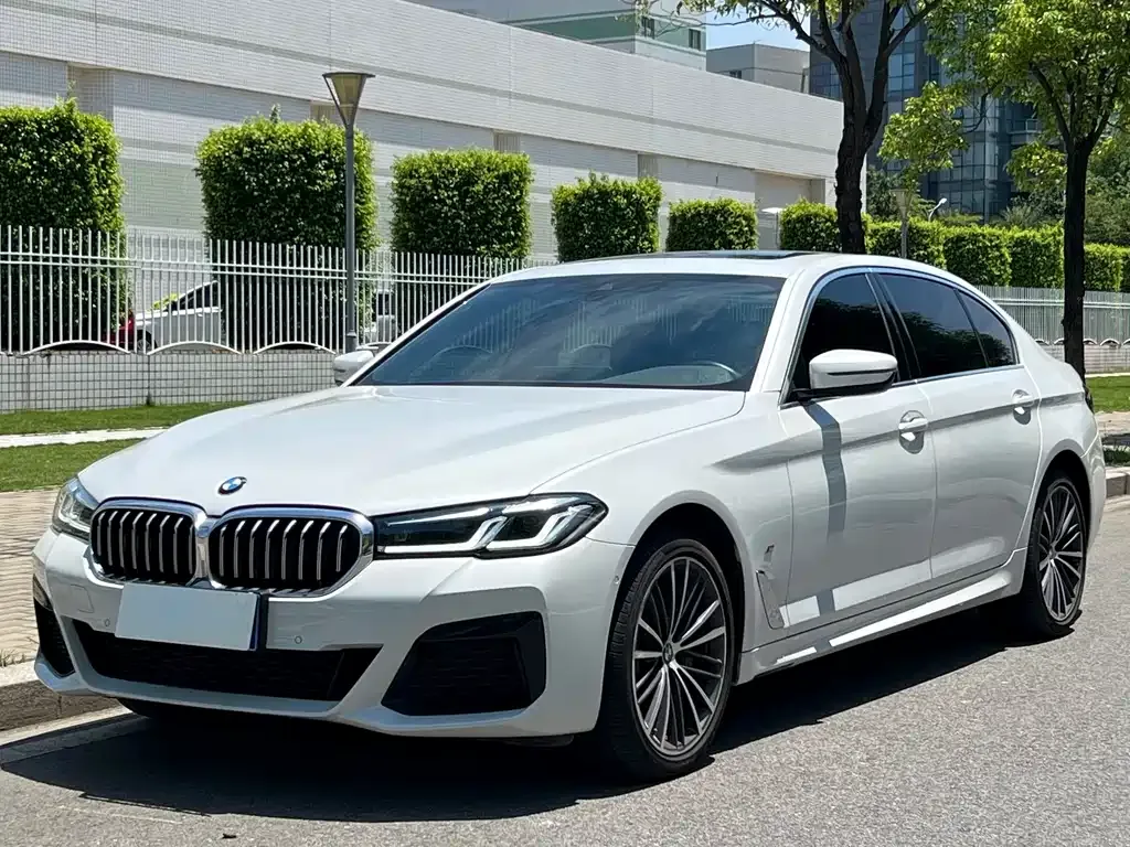 BMW 5 Series 2023 из CN, фото 1