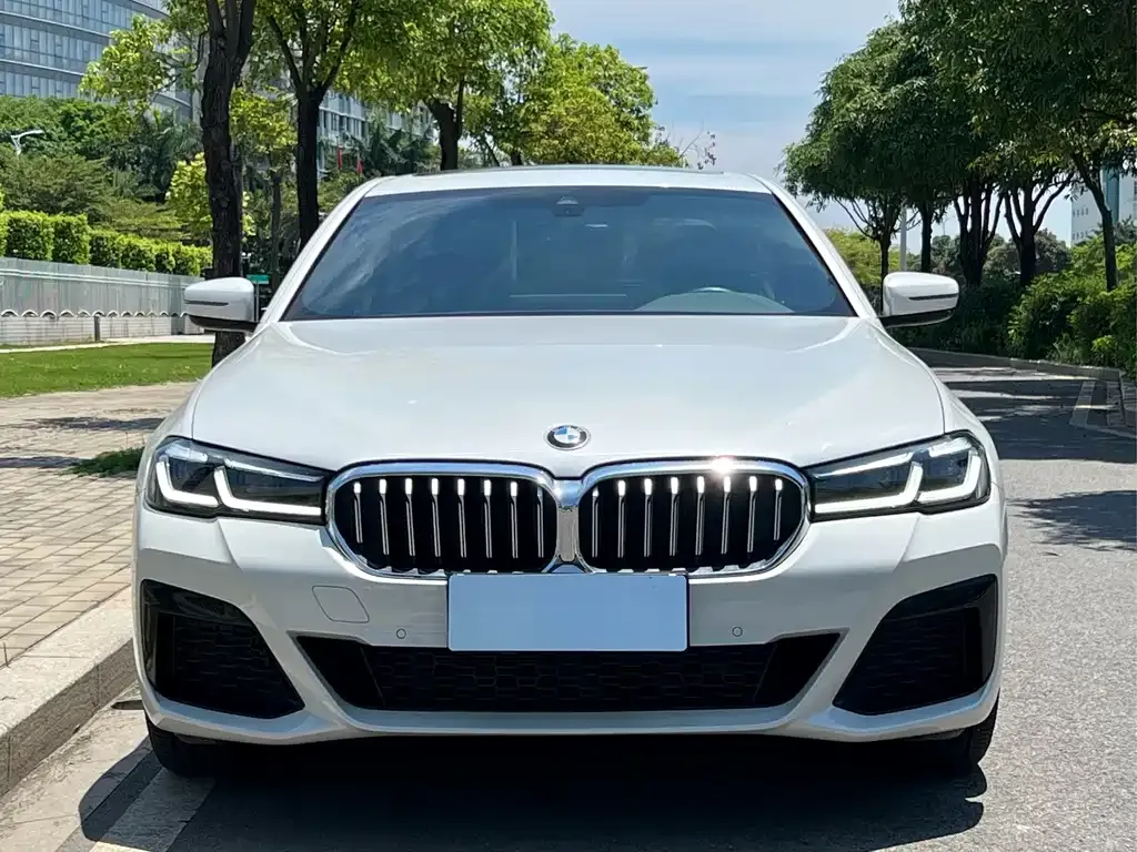BMW 5 Series 2023 из CN, фото 10