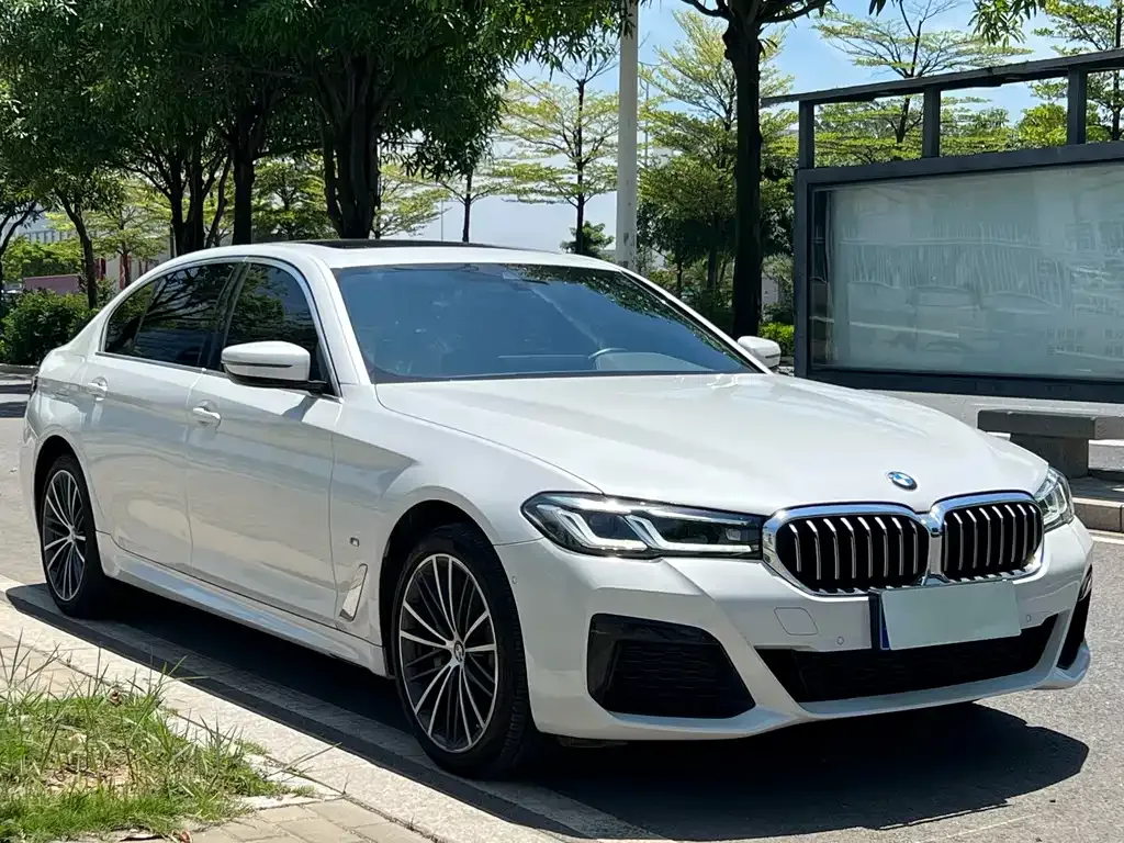 BMW 5 Series 2023 из CN, фото 9