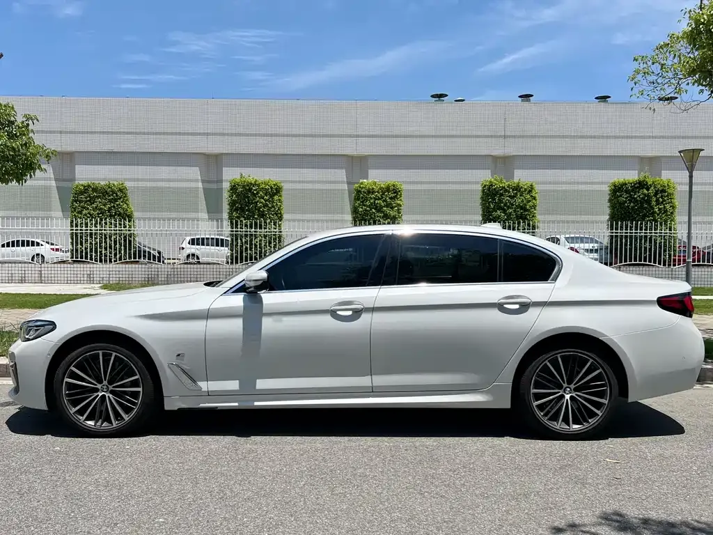 BMW 5 Series 2023 из CN, фото 5