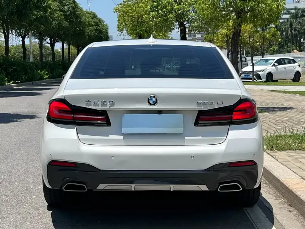 BMW 5 Series 2023 из CN, фото 3