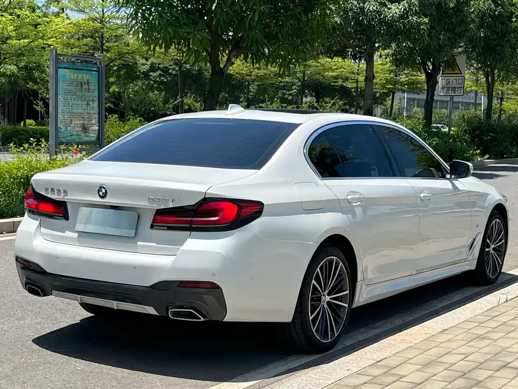 BMW 5 Series 2023 из CN, фото 8