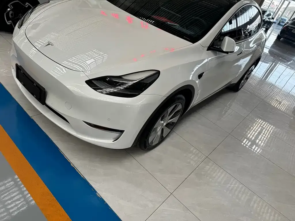 Tesla Model Y 2021 из CN, фото 1