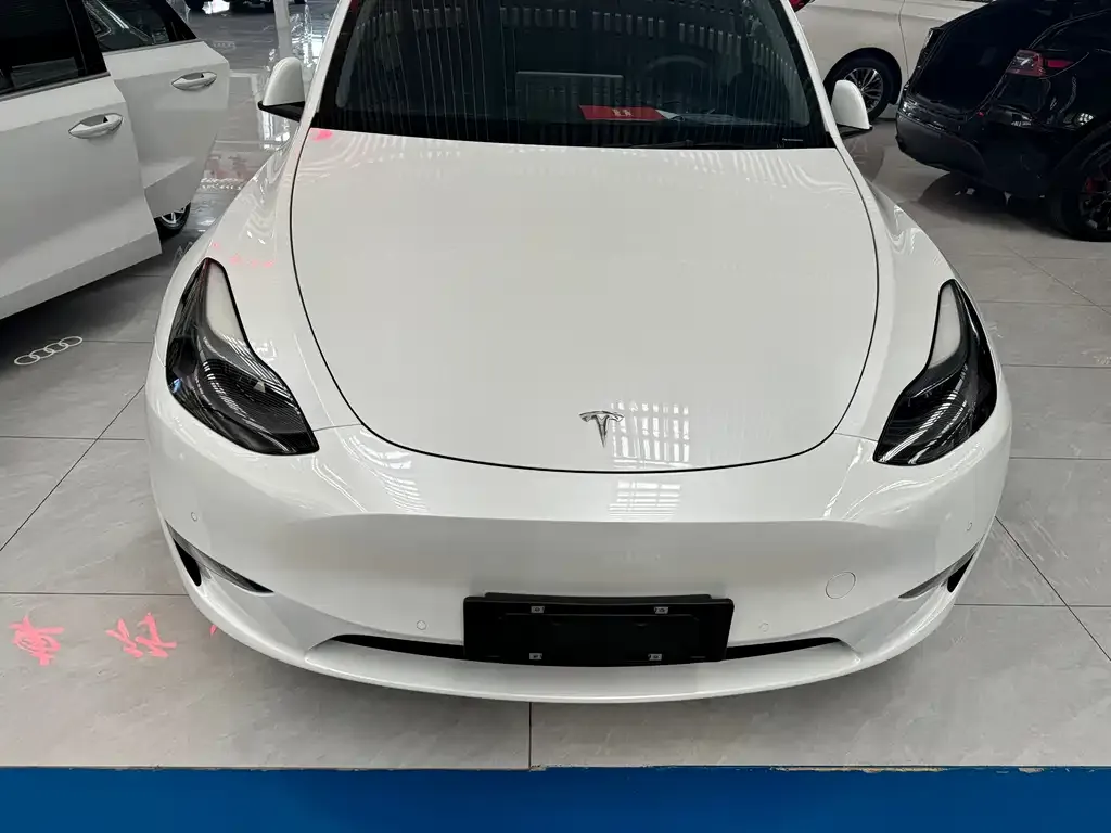 Tesla Model Y 2021 из CN, фото 3