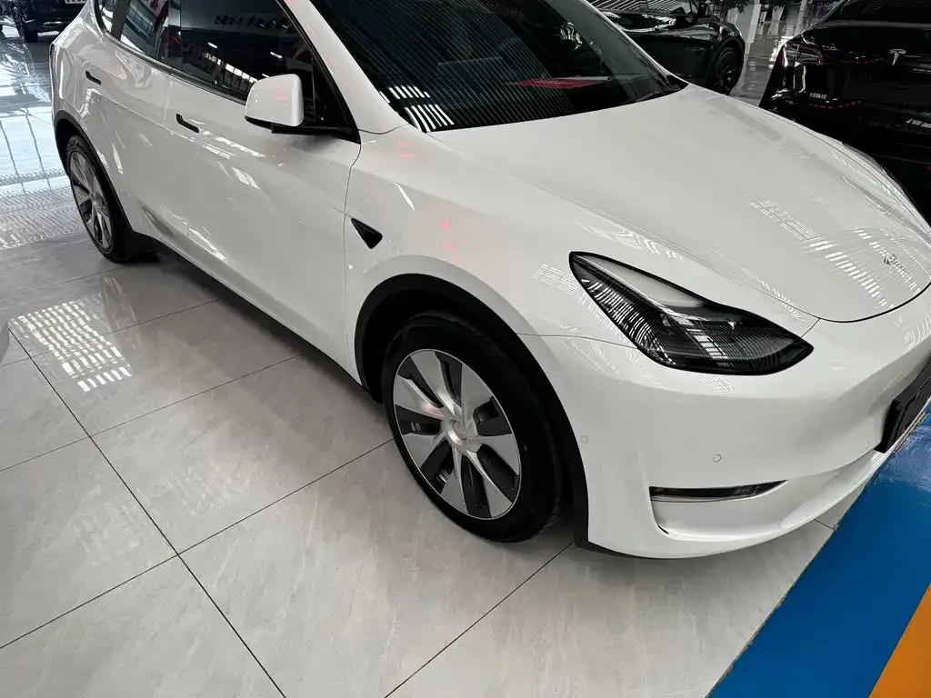 Tesla Model Y 2021 из CN, фото 4