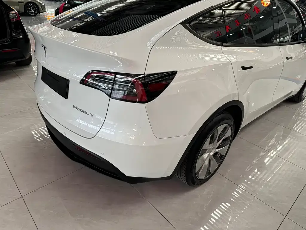 Tesla Model Y 2021 из CN, фото 5