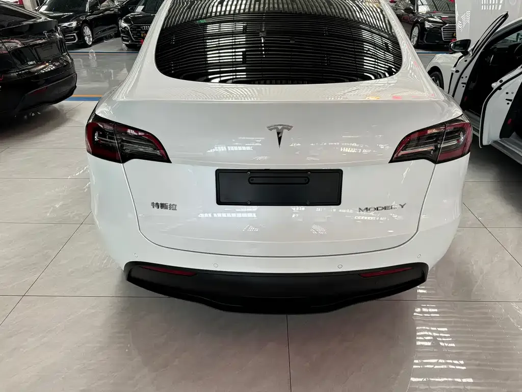 Tesla Model Y 2021 из CN, фото 6