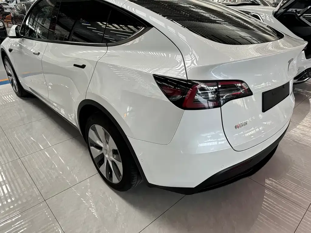 Tesla Model Y 2021 из CN, фото 7