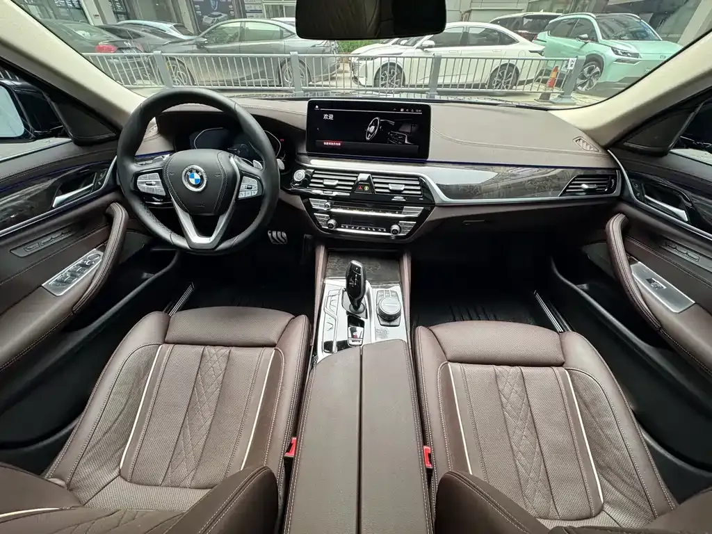 BMW 5 Series 2021 из CN, фото 9