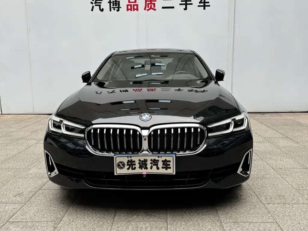BMW 5 Series 2021 из CN, фото 3