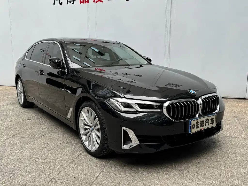 BMW 5 Series 2021 из CN, фото 10