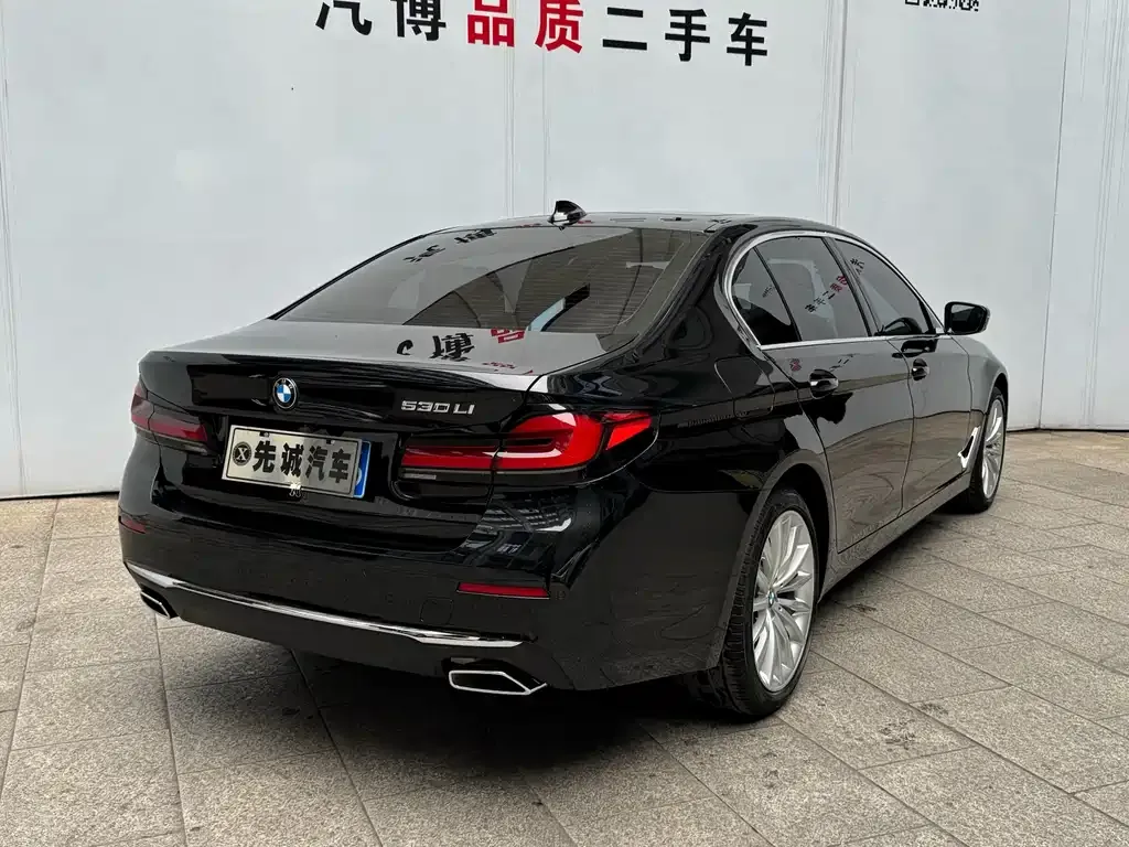 BMW 5 Series 2021 из CN, фото 4