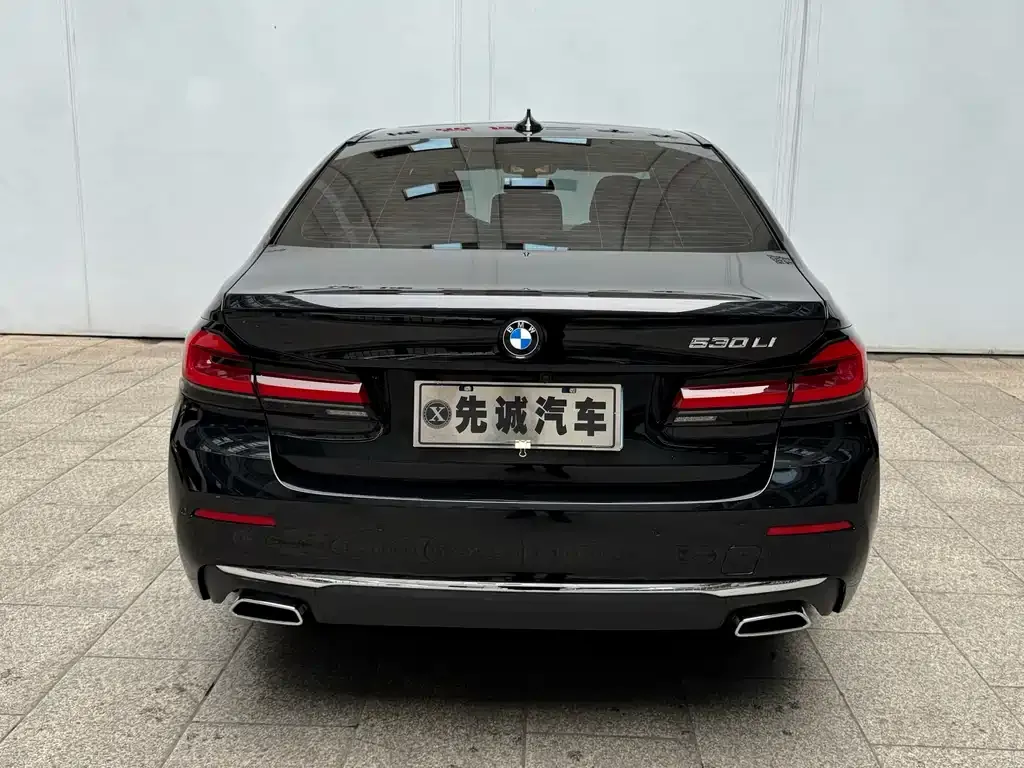 BMW 5 Series 2021 из CN, фото 2