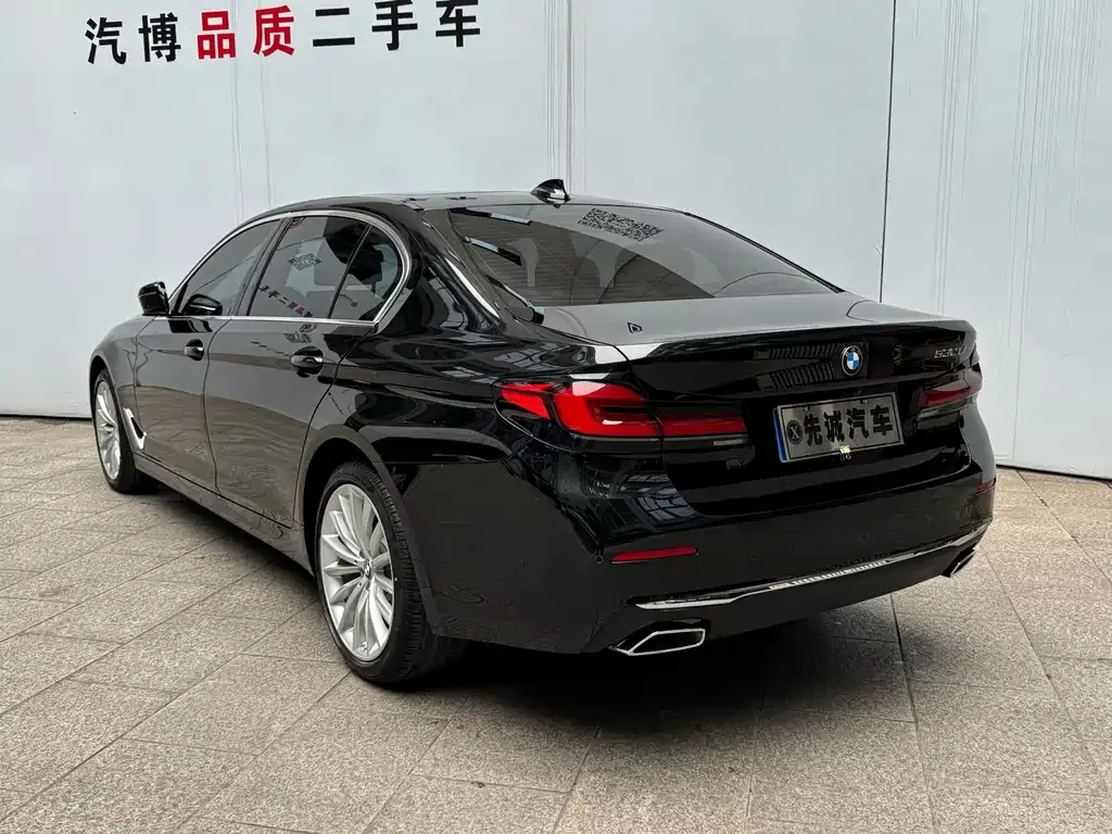 BMW 5 Series 2021 из CN, фото 7