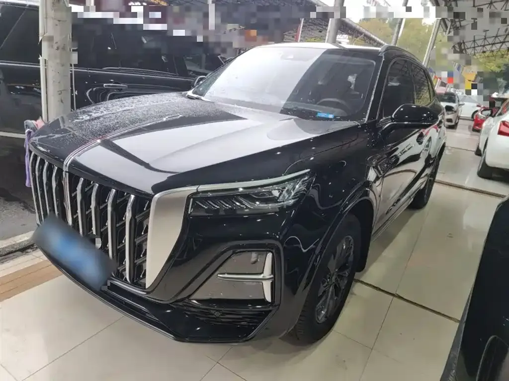 Hongqi HS5 2024 из CN, фото 10