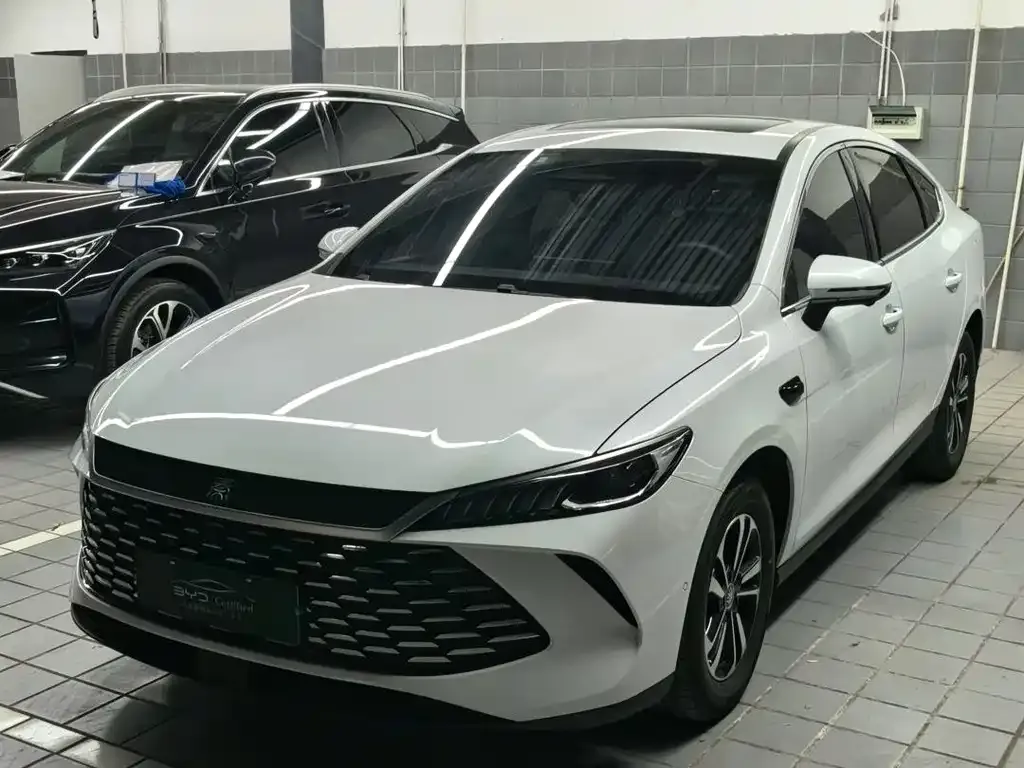 BYD Qin PLUS — фото 1