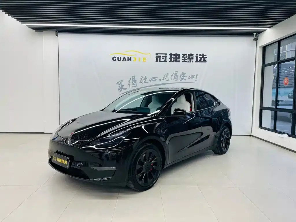 Tesla Model Y 2021 из CN, фото 1