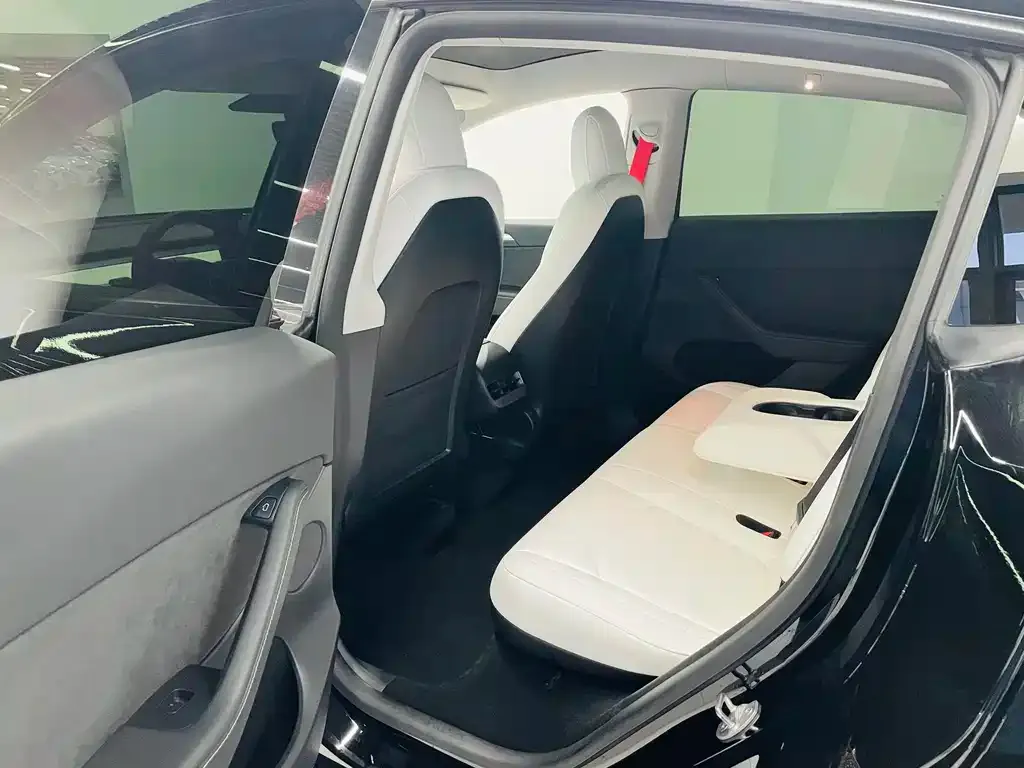 Tesla Model Y 2021 из CN, фото 10