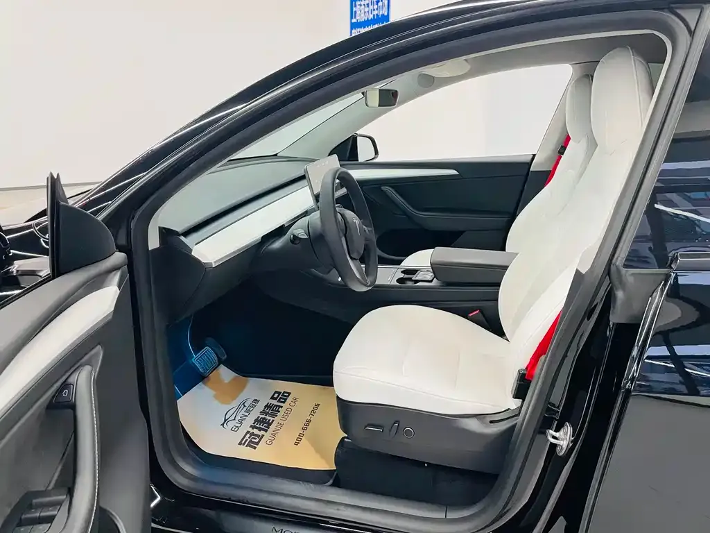 Tesla Model Y 2021 из CN, фото 6