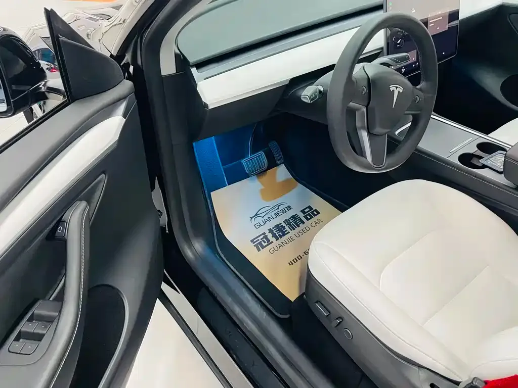 Tesla Model Y 2021 из CN, фото 9
