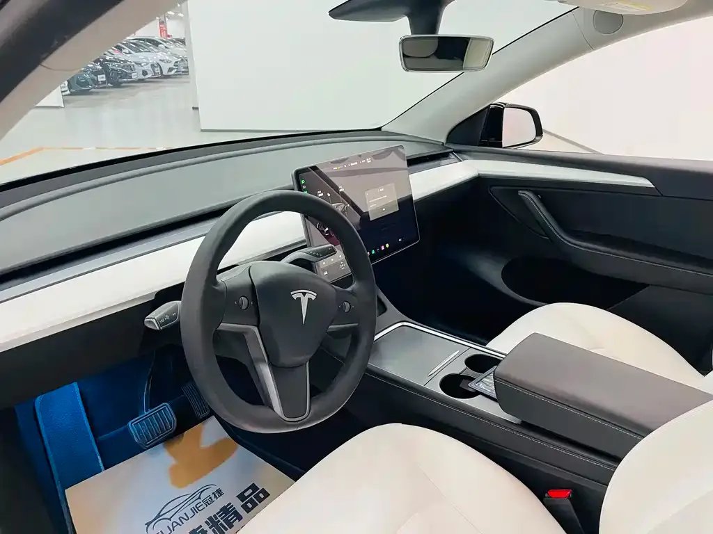 Tesla Model Y 2021 из CN, фото 3