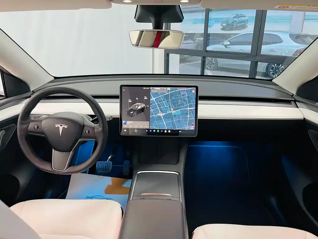 Tesla Model Y 2021 из CN, фото 2