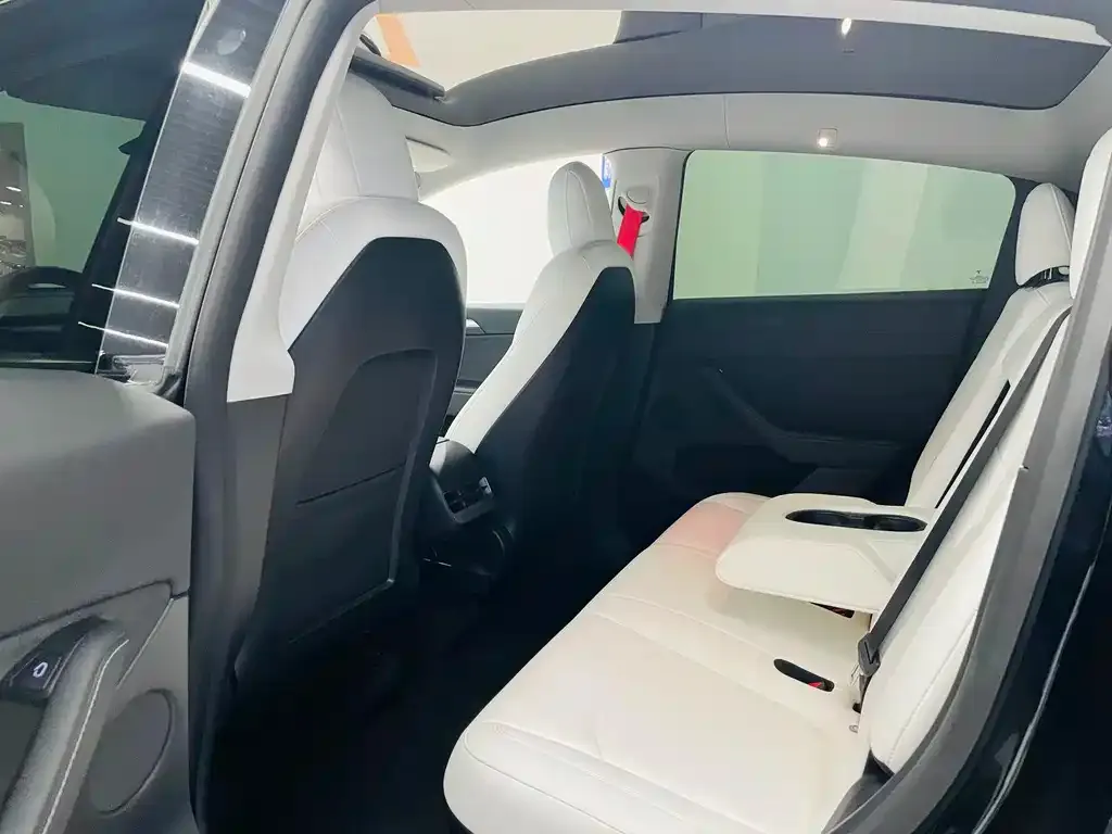 Tesla Model Y 2021 из CN, фото 4