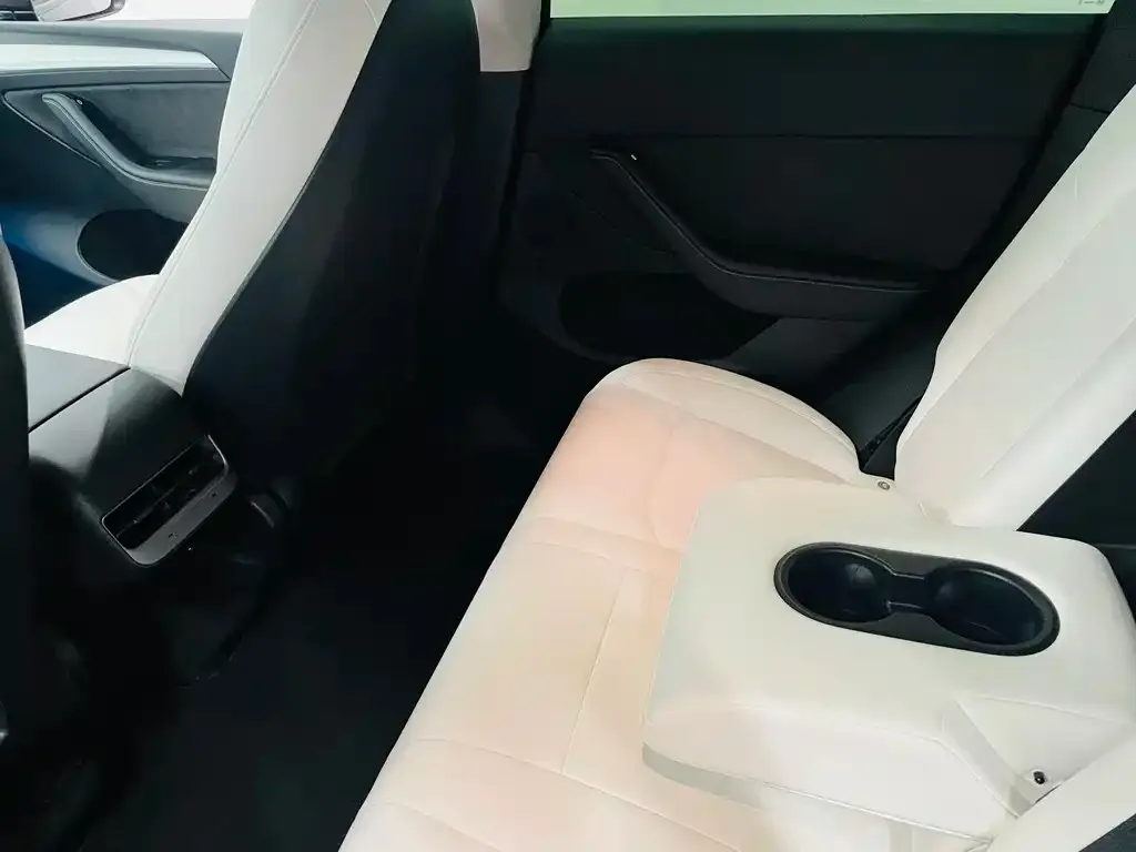 Tesla Model Y 2021 из CN, фото 5