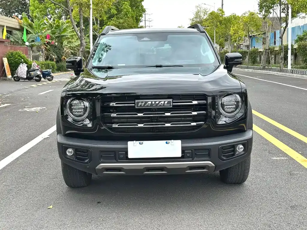Haval Big Dog 2023 из CN, фото 8
