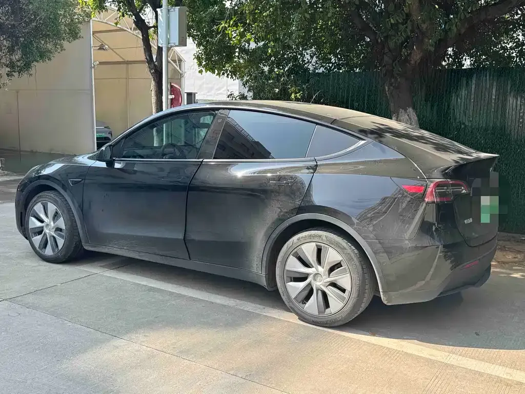 Tesla Model Y 2021 из CN, фото 7