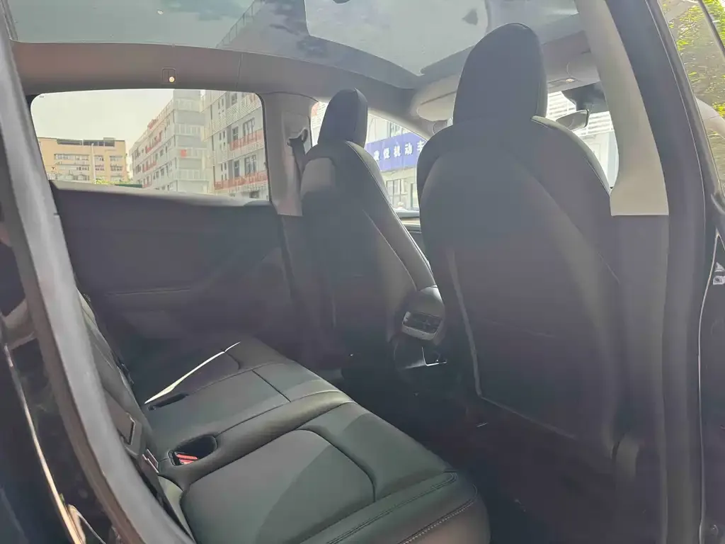 Tesla Model Y 2021 из CN, фото 4