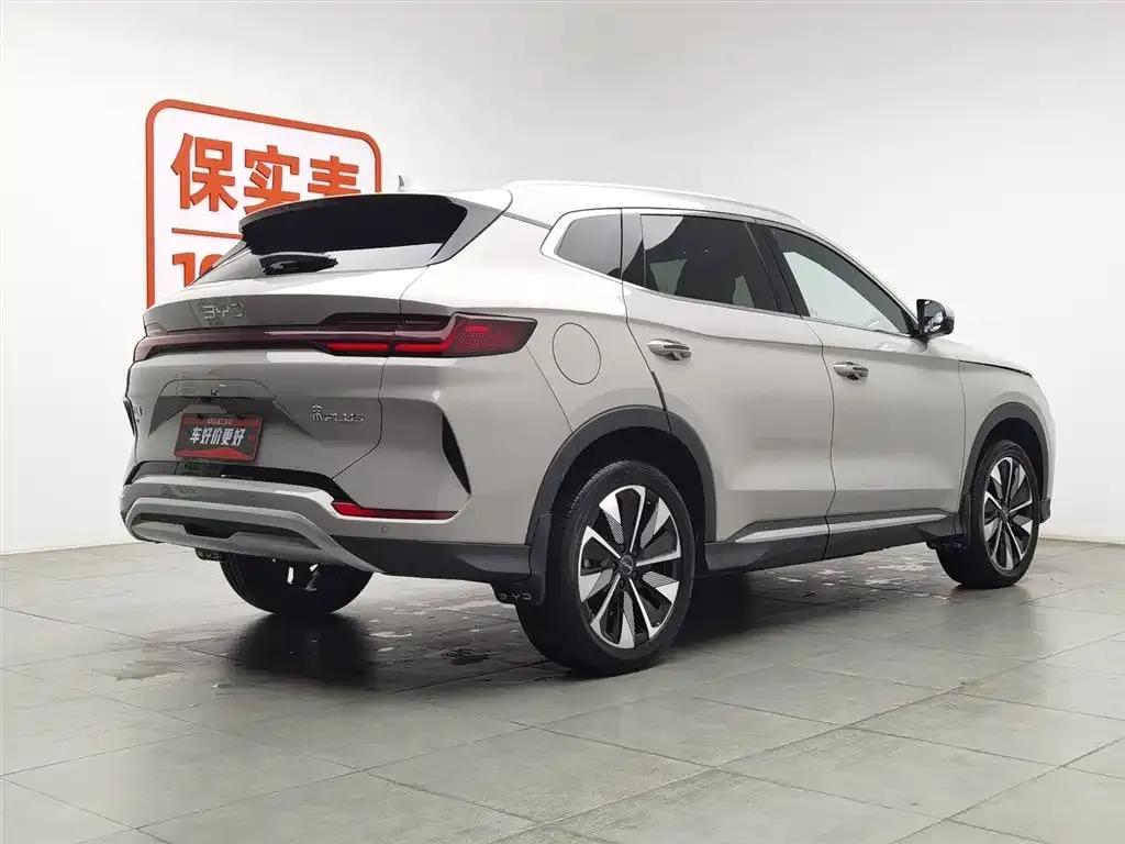 BYD PLUS New Energy — фото 2