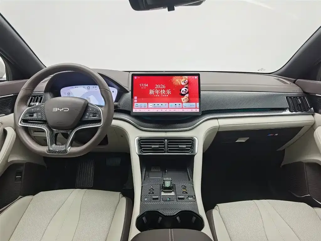 BYD PLUS New Energy — фото 3