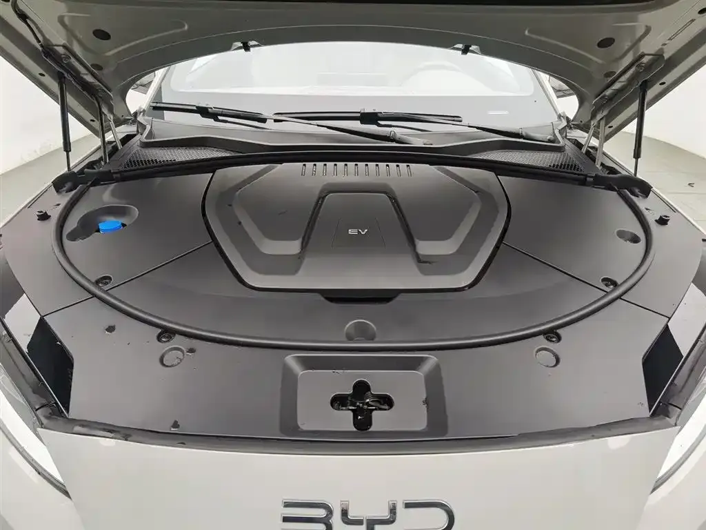 BYD PLUS New Energy — фото 4