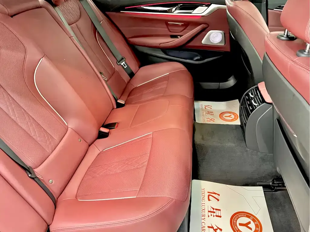 BMW 5 Series 2023 из CN, фото 10