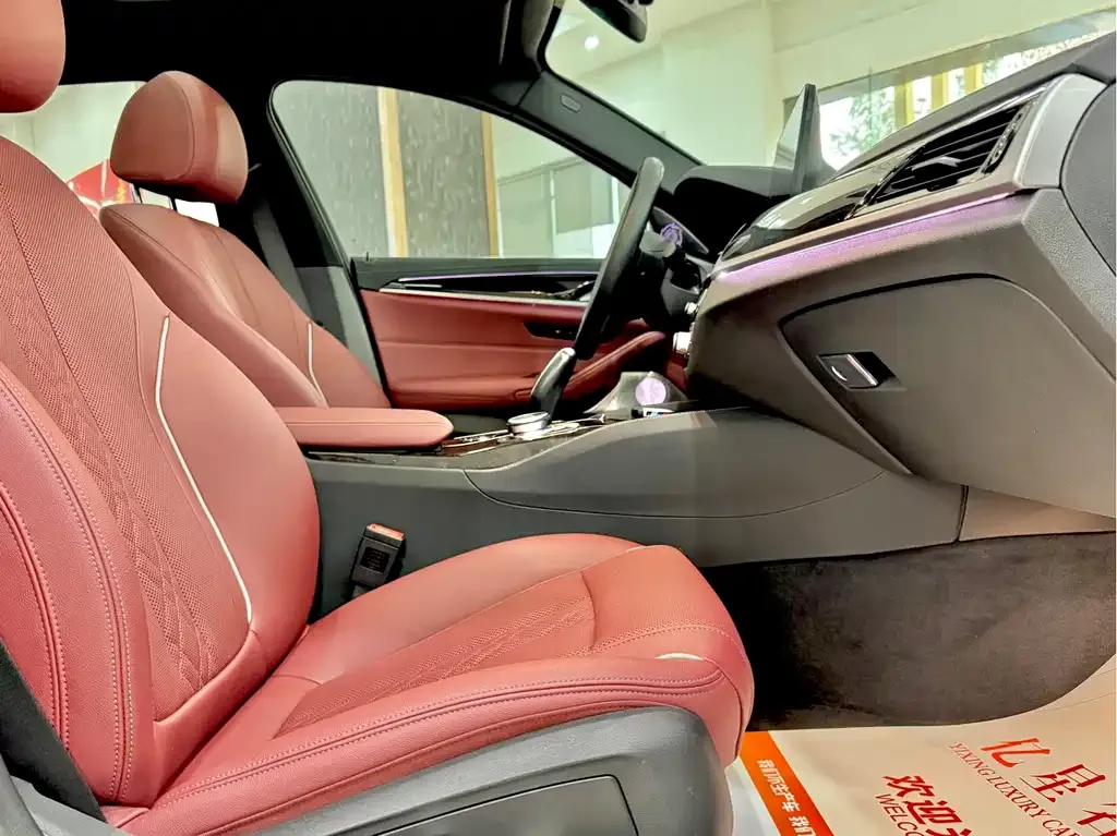 BMW 5 Series 2023 из CN, фото 8