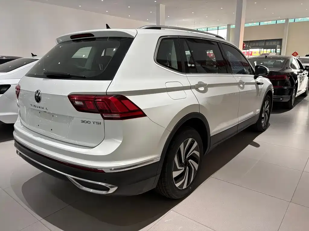 Volkswagen Tiguan L 2023 из CN, фото 9