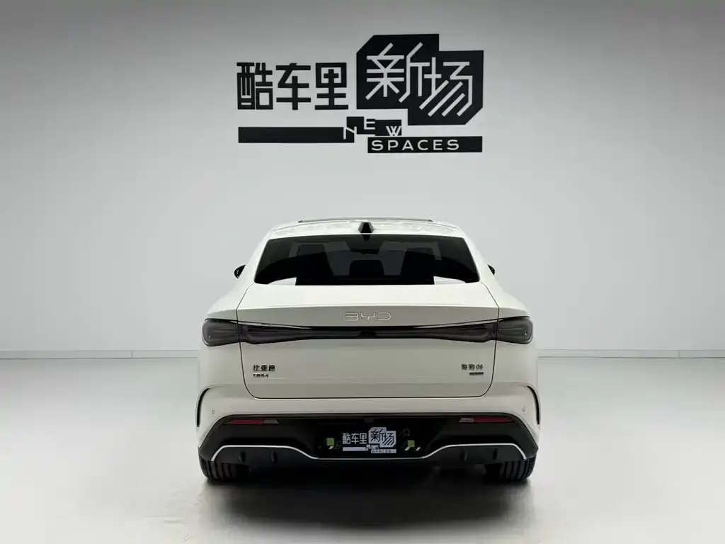 BYD Seal 06 — фото 4