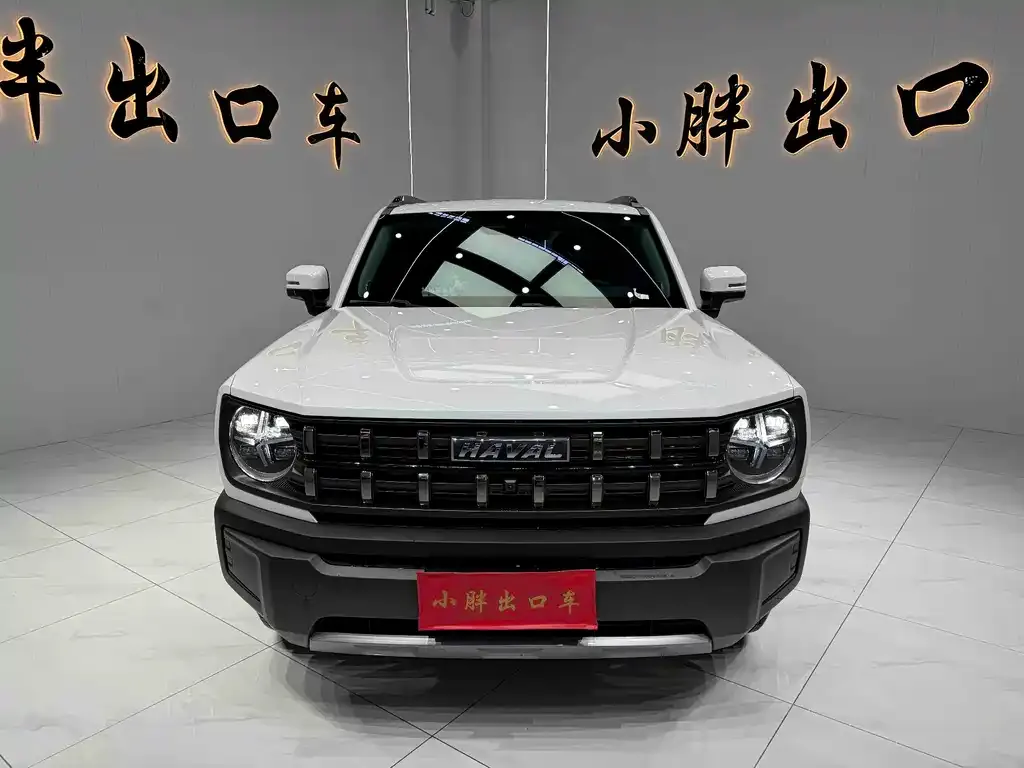 Haval Cool Dog — фото 10