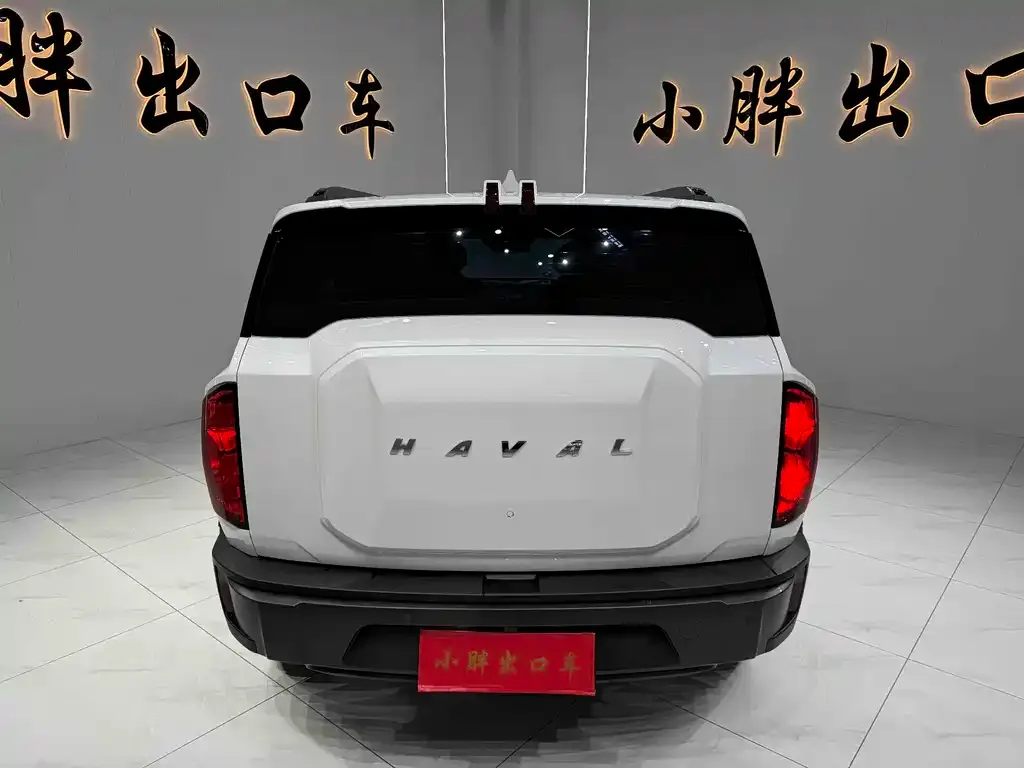 Haval Cool Dog — фото 3