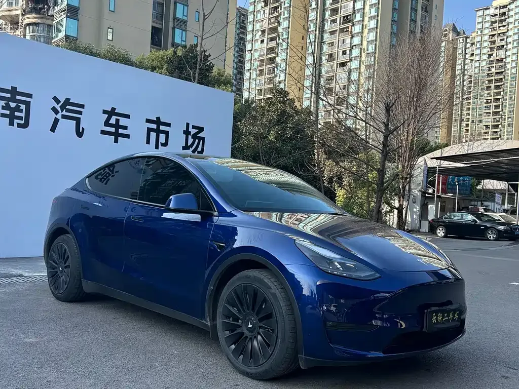 Tesla Model Y — фото 10