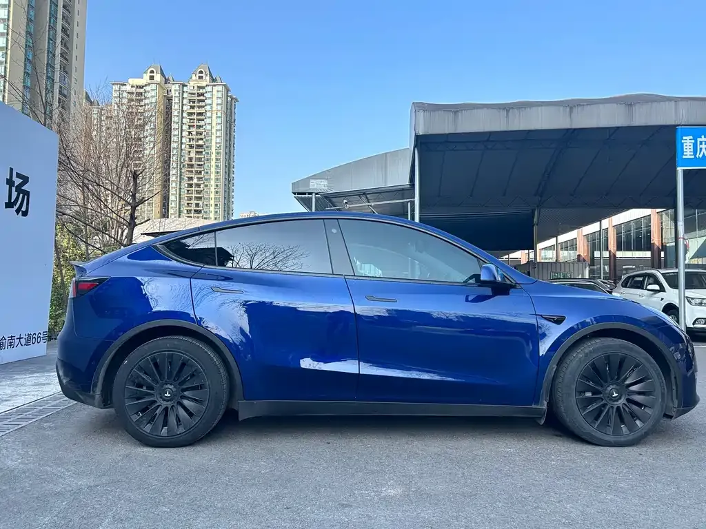 Tesla Model Y — фото 6
