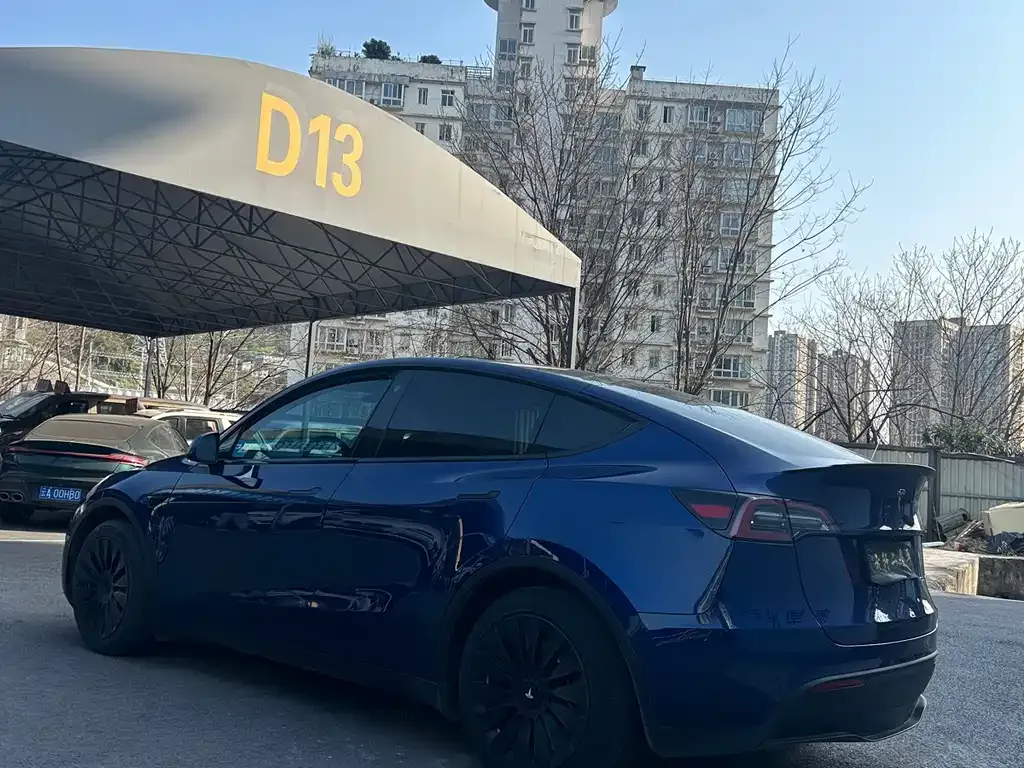 Tesla Model Y — фото 8