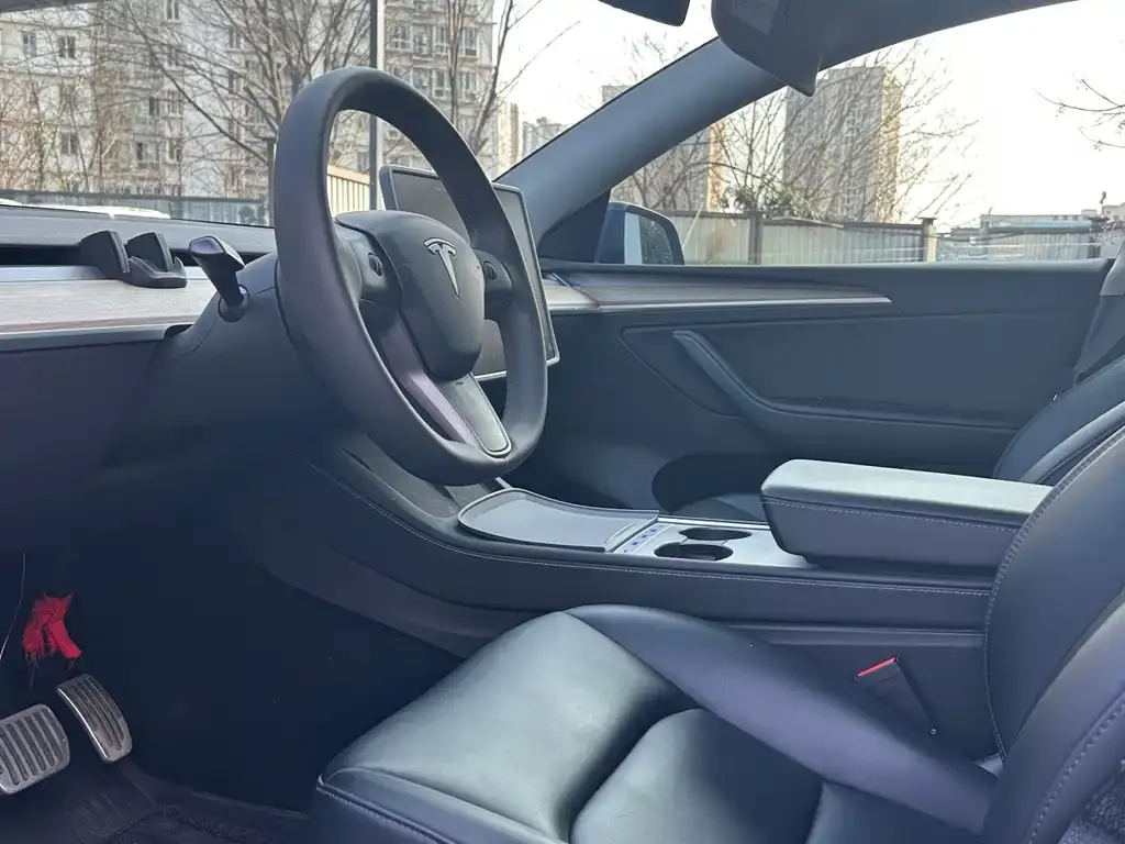 Tesla Model Y — фото 9