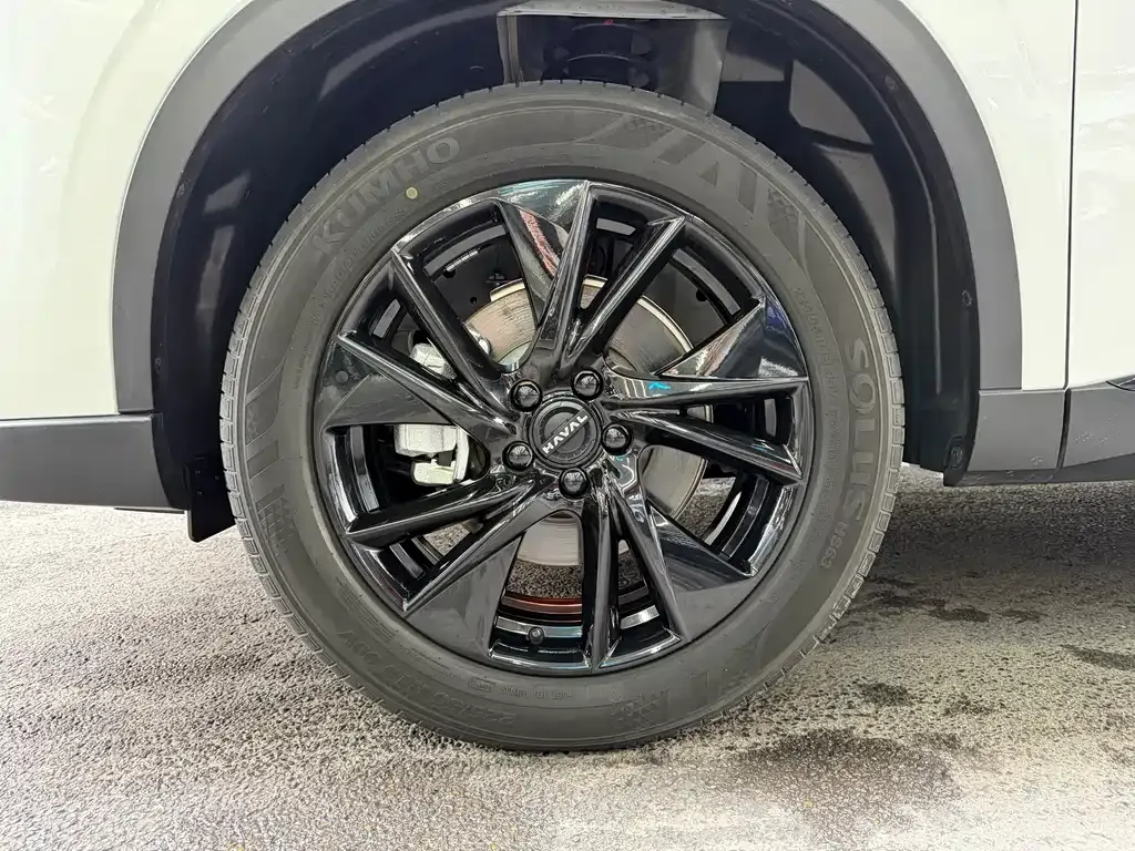 Haval H6 2024 из CN, фото 7