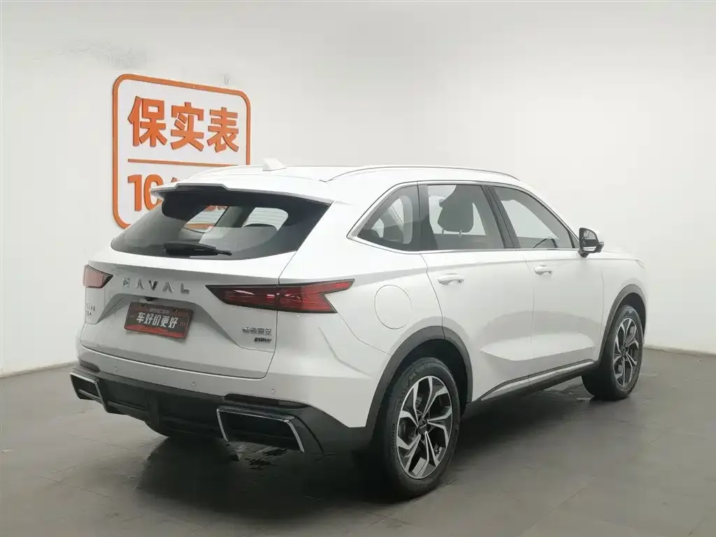 Haval Xiaolong MAX 2024 из CN, фото 3
