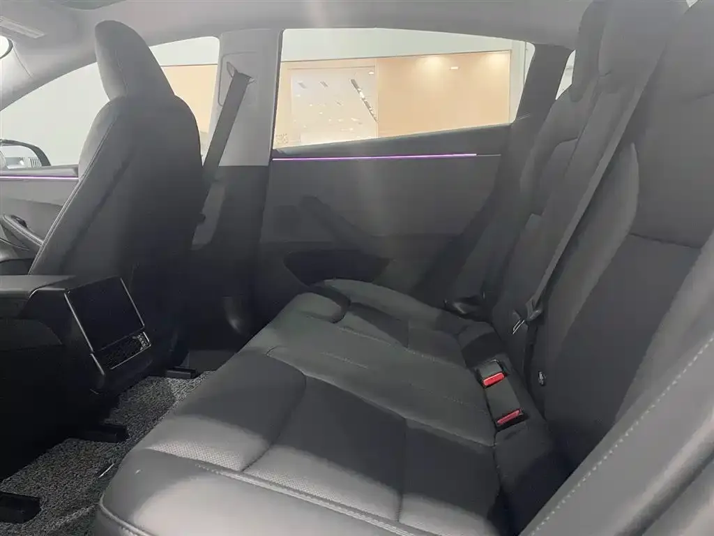 Tesla Model 3 2025 из CN, фото 7